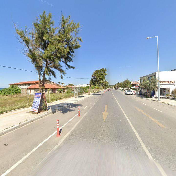 Fotoğraf 12