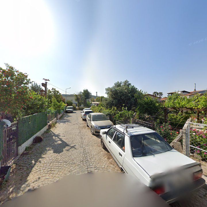 Fotoğraf 10