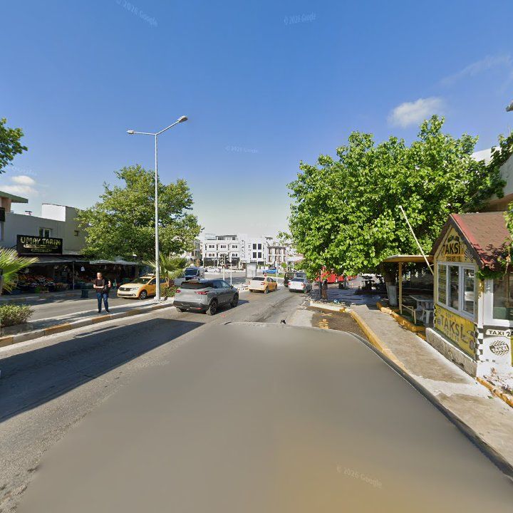 Fotoğraf 7