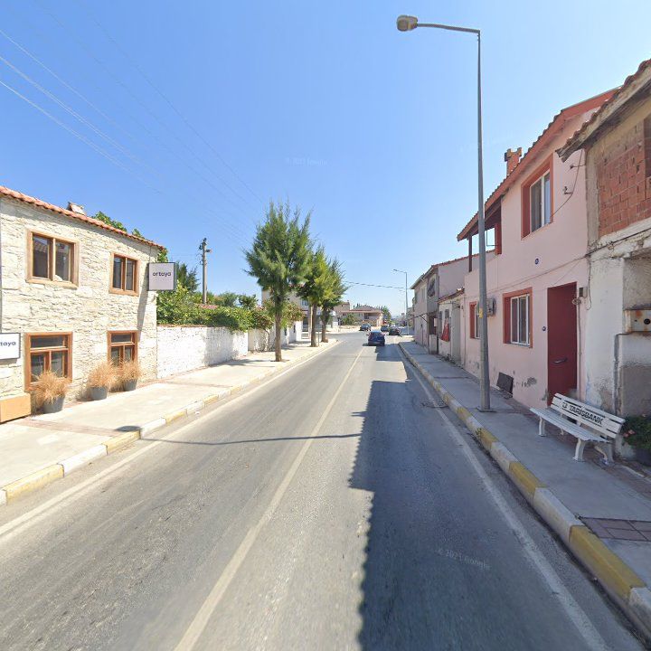 Fotoğraf 8