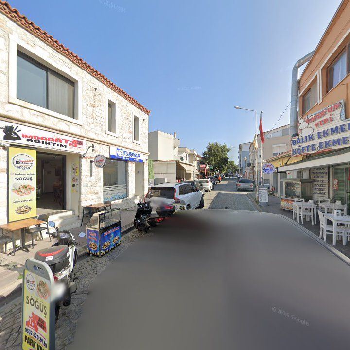 Fotoğraf 11