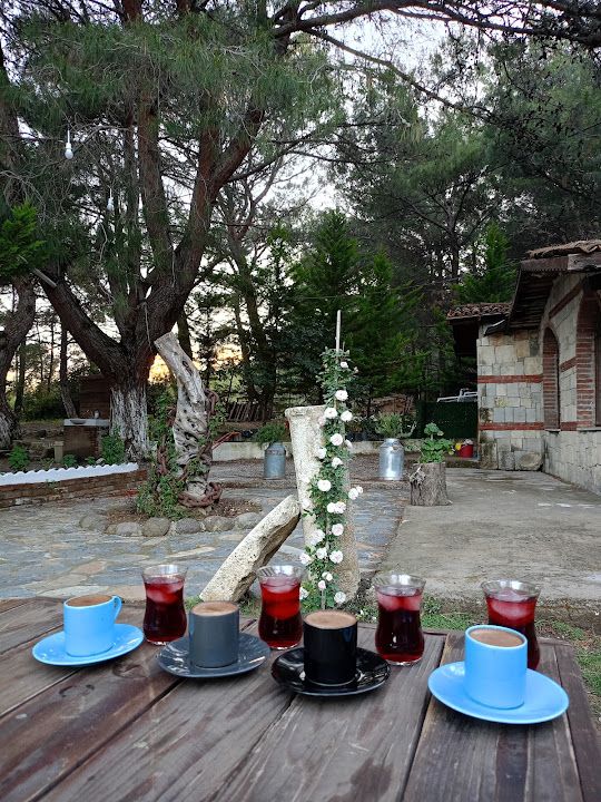 Can cafe restoran