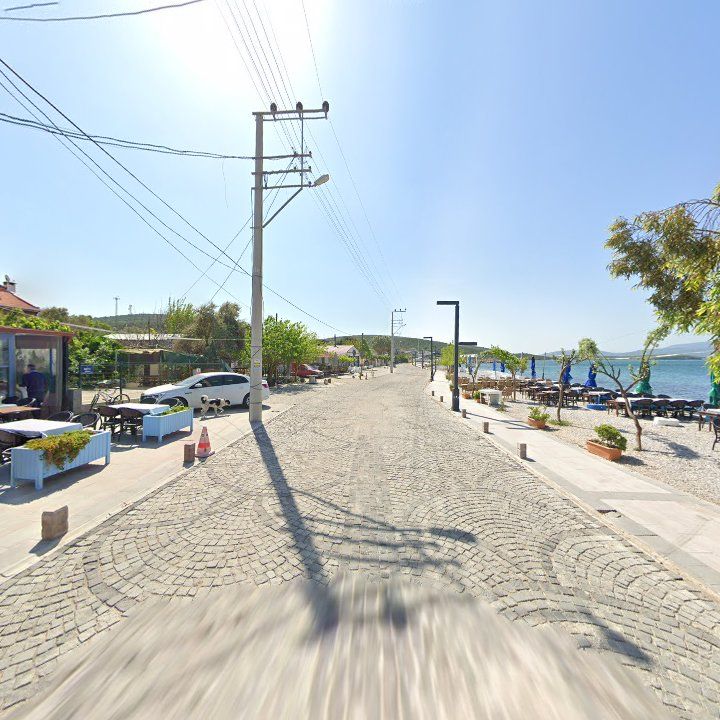 Fotoğraf 9