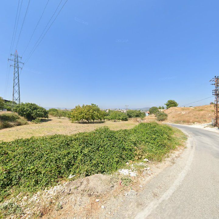 Fotoğraf 10