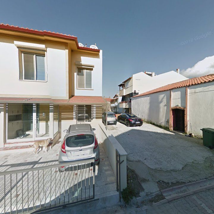 Fotoğraf 15