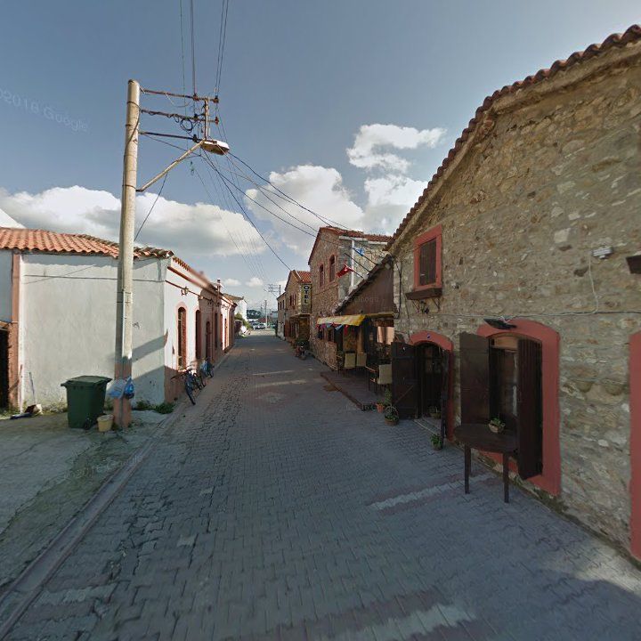 Fotoğraf 16