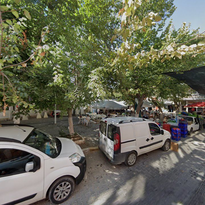Fotoğraf 7