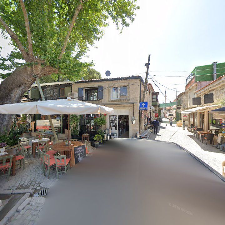 Fotoğraf 10