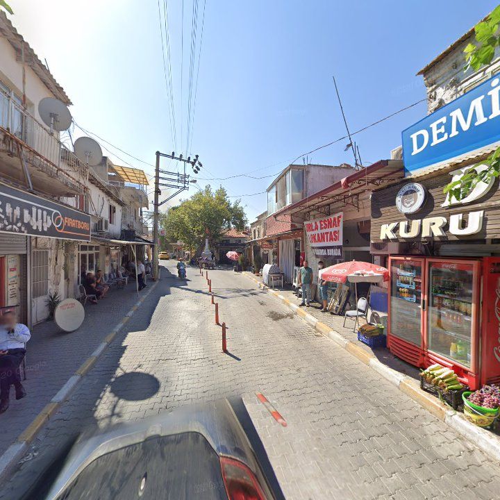 Fotoğraf 10