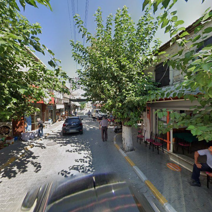 Fotoğraf 8