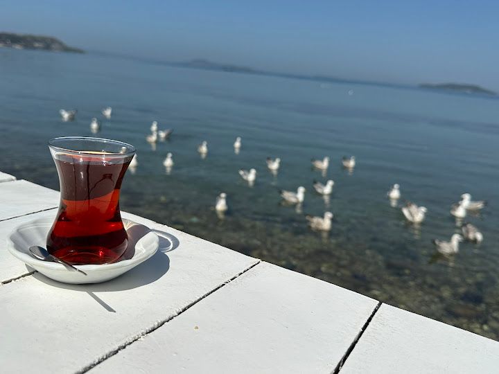 Fotoğraf 9