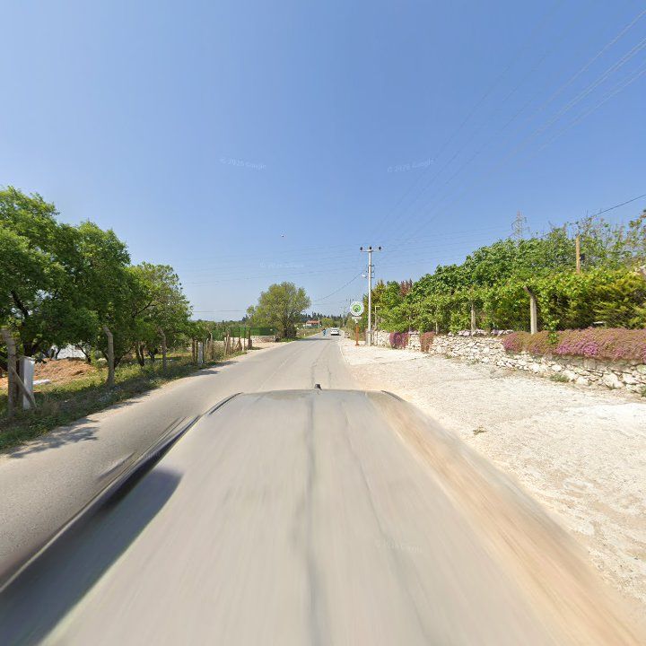 Fotoğraf 11
