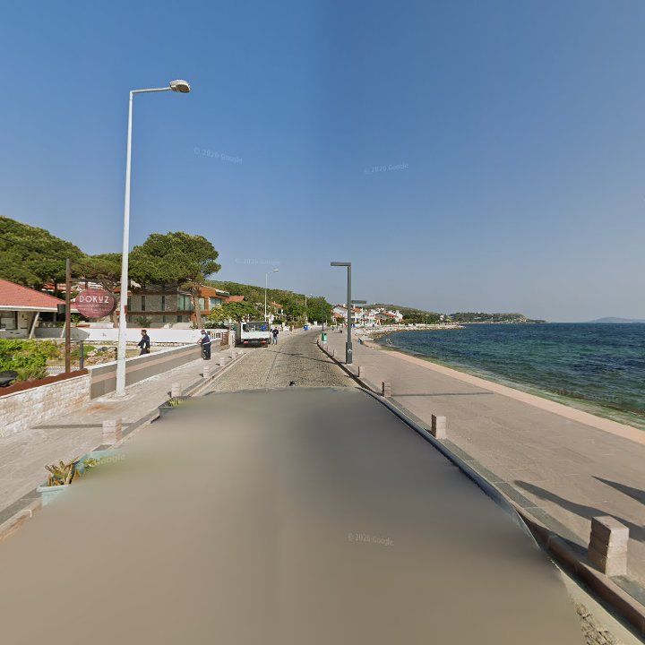 Fotoğraf 12