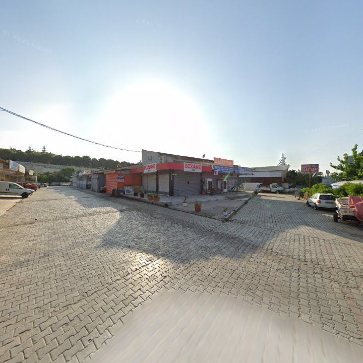 Fotoğraf 7