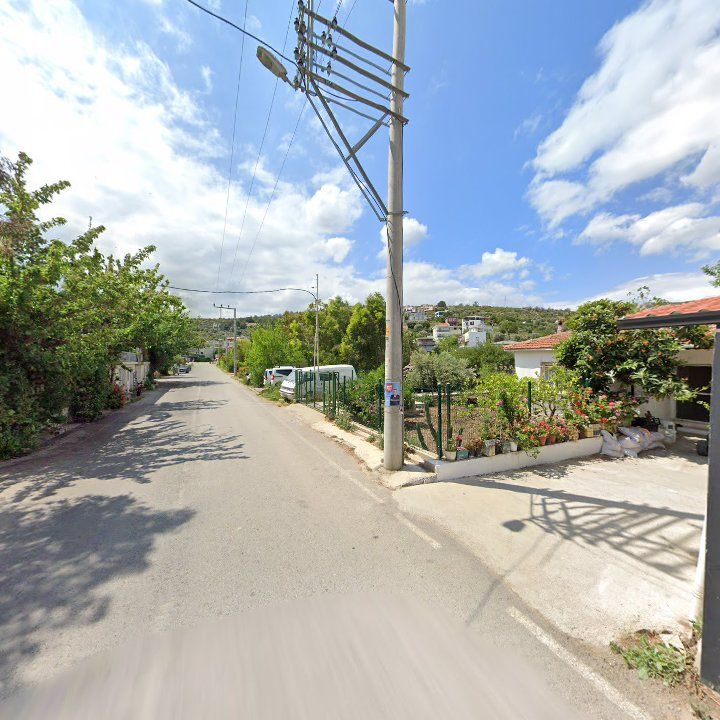 Fotoğraf 8