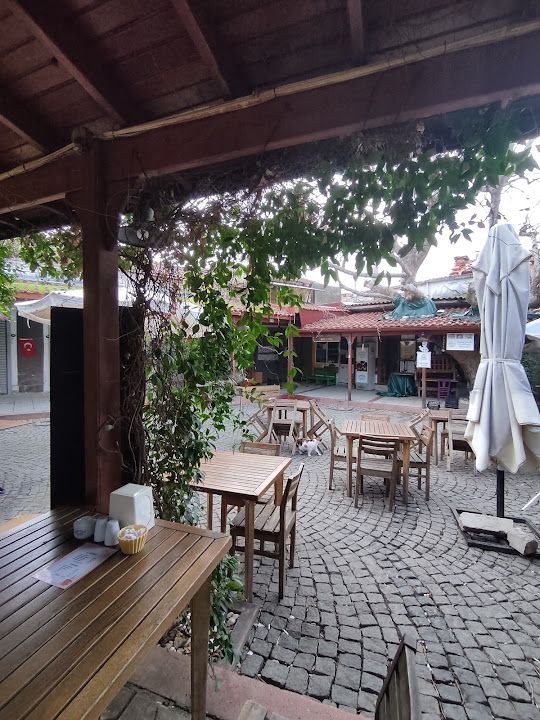 Egenin lale katmercisi