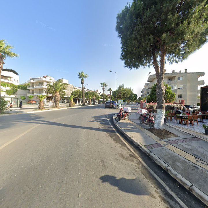 Fotoğraf 11