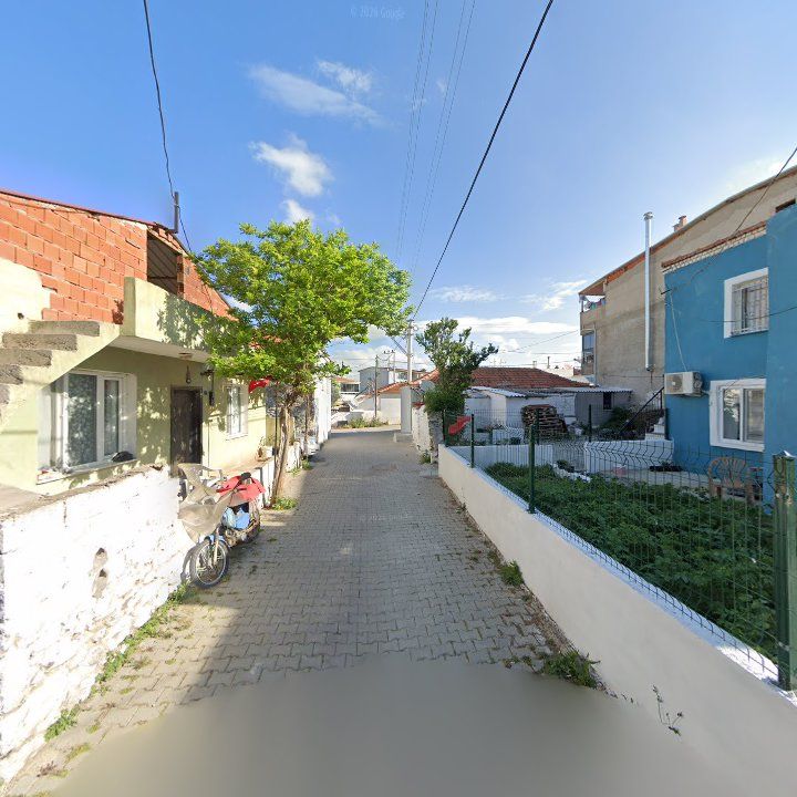 Fotoğraf 5