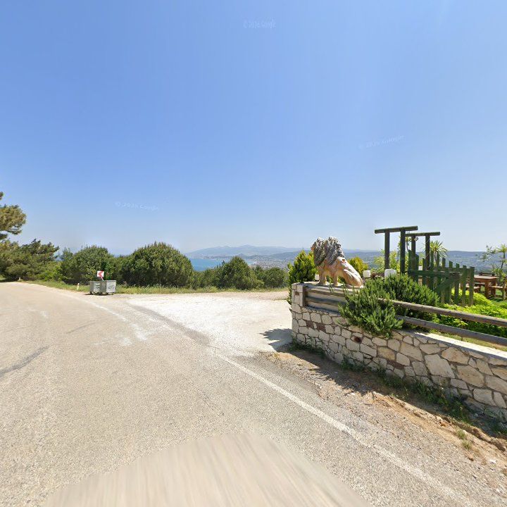 Fotoğraf 11