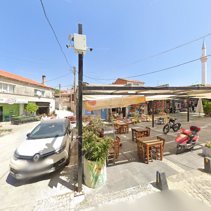 Fotoğraf 11