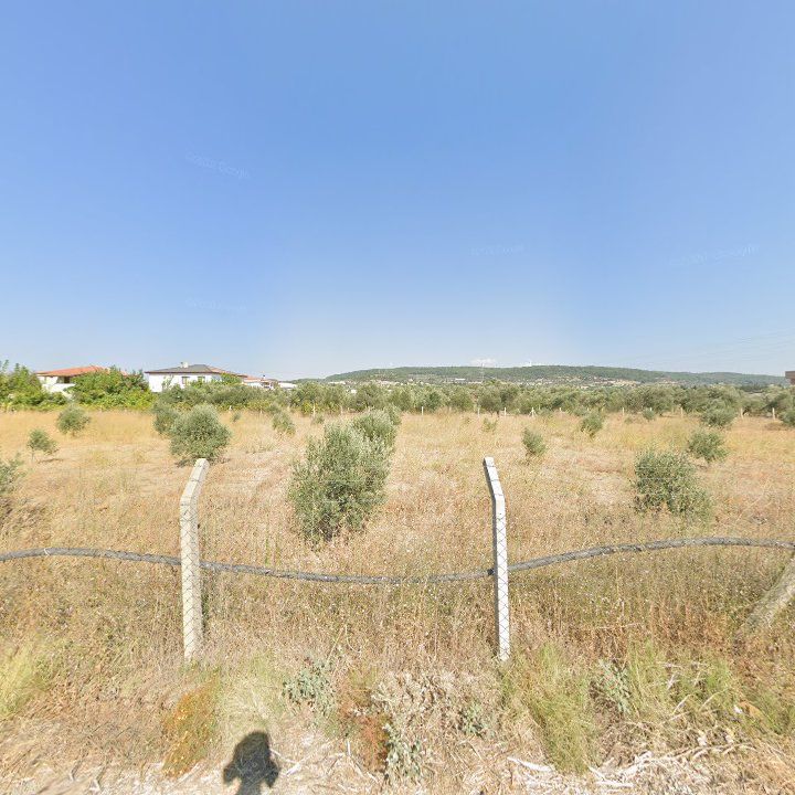 Fotoğraf 11