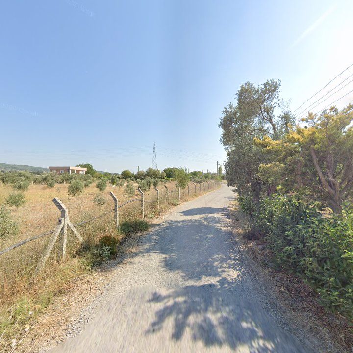 Fotoğraf 12