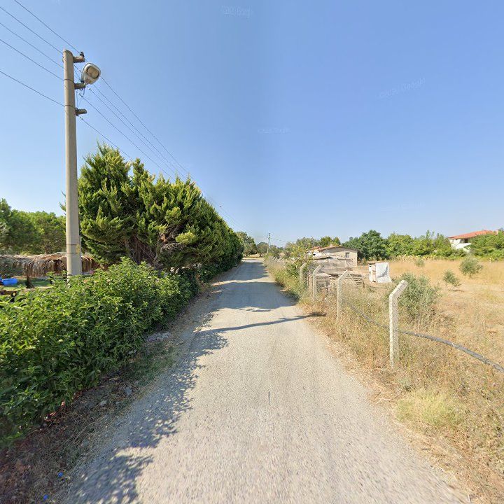 Fotoğraf 10