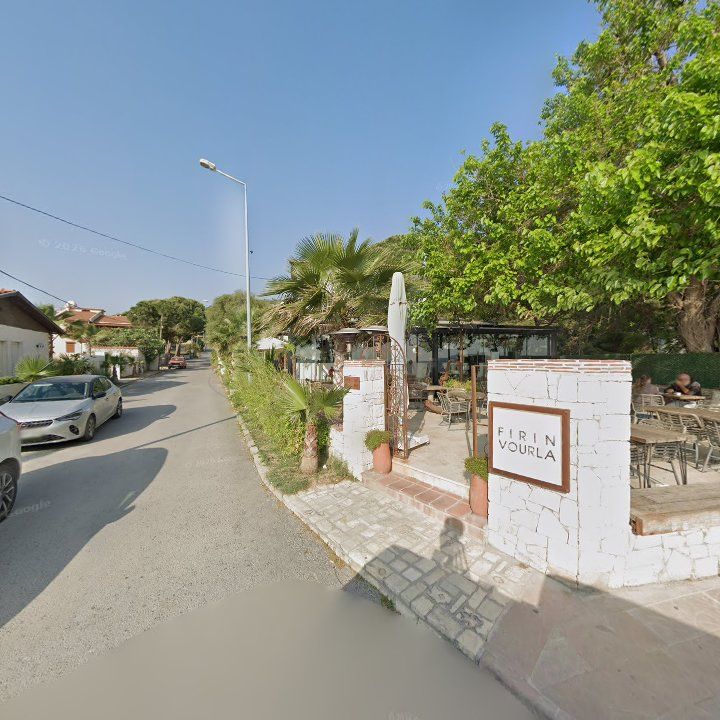 Fotoğraf 11