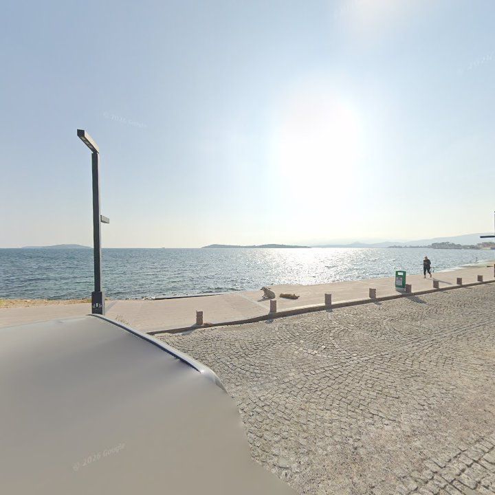 Fotoğraf 13