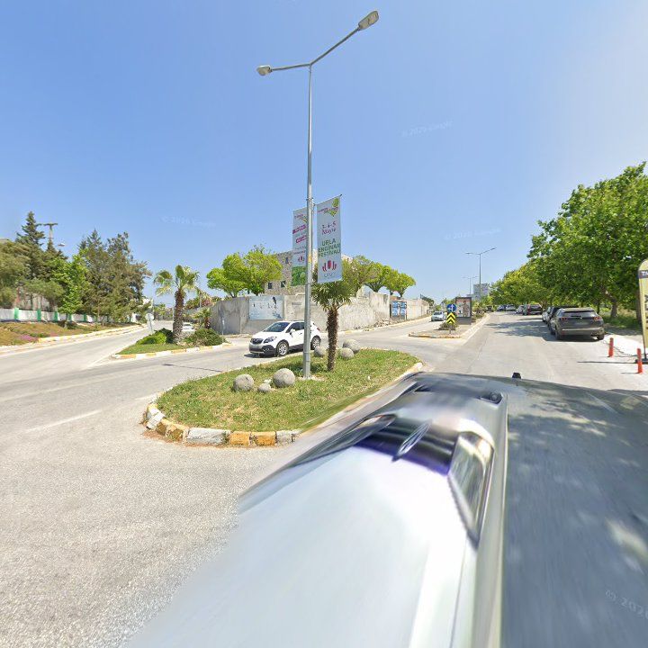 Fotoğraf 9