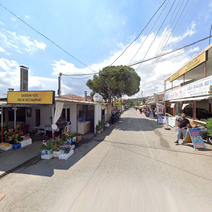 Fotoğraf 9