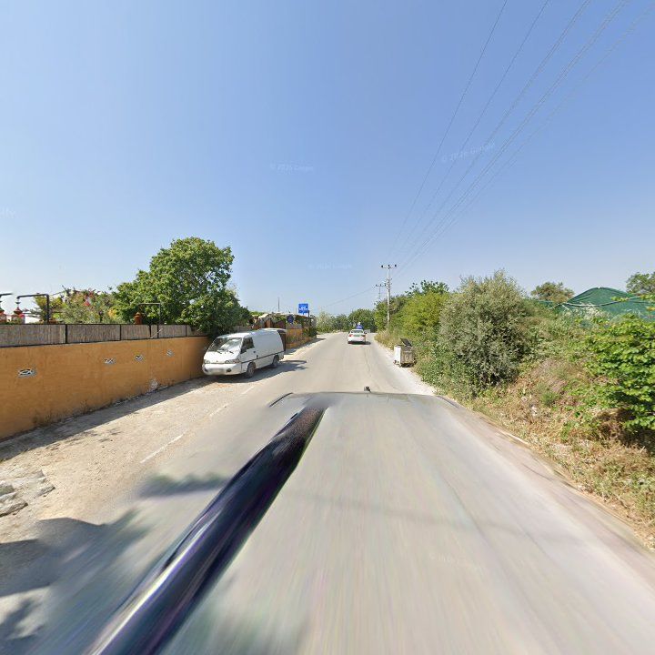 Fotoğraf 10