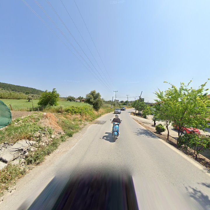 Fotoğraf 12