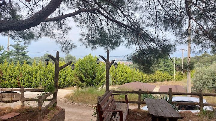 Güvendik Mesire Alanı