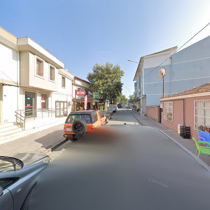 Fotoğraf 7
