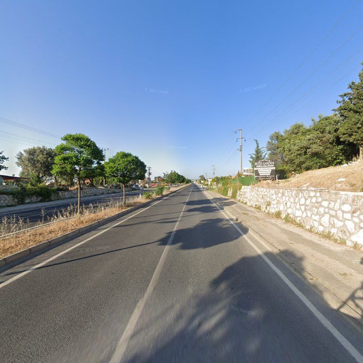 Fotoğraf 11