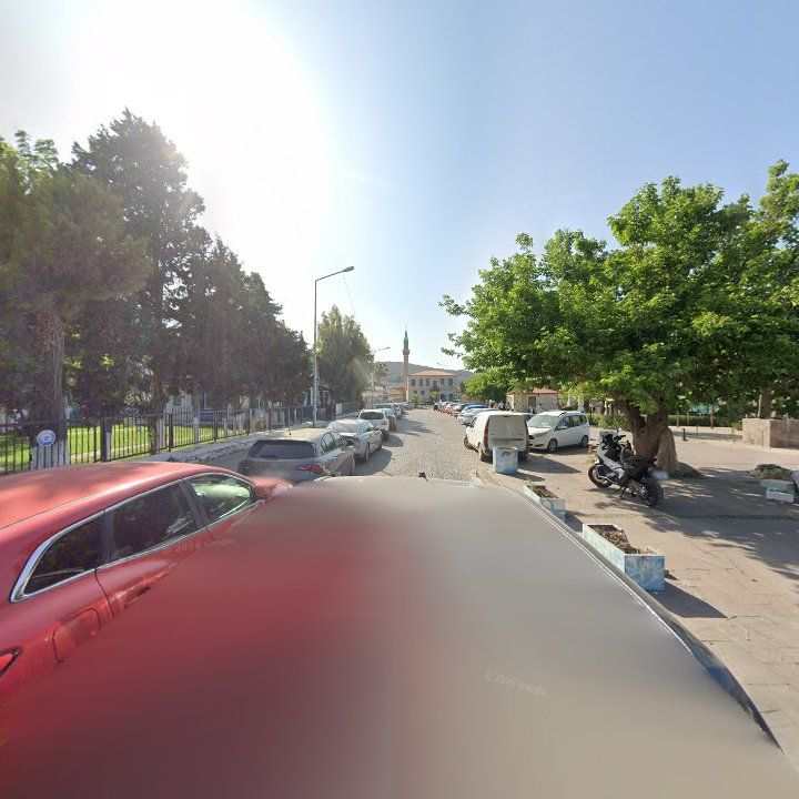 Fotoğraf 8