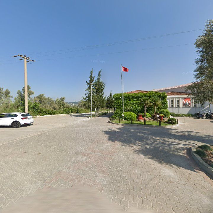 Fotoğraf 6