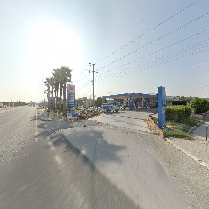 Fotoğraf 7