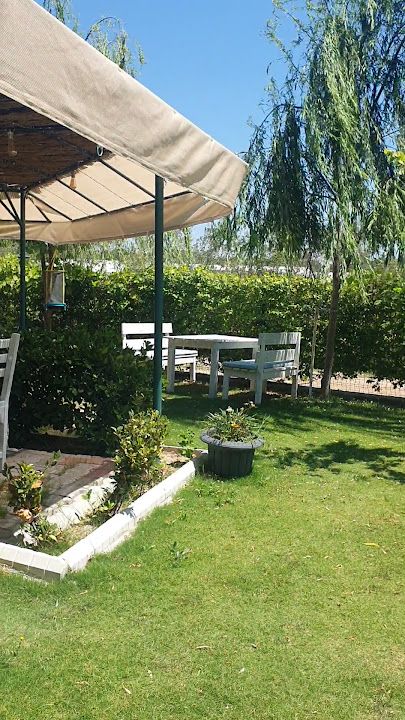 Yorum fotoğrafı 4