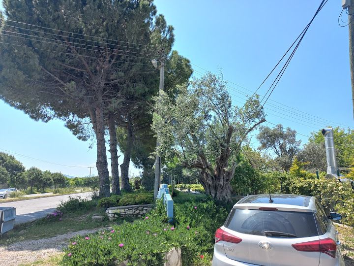 Yorum fotoğrafı 3