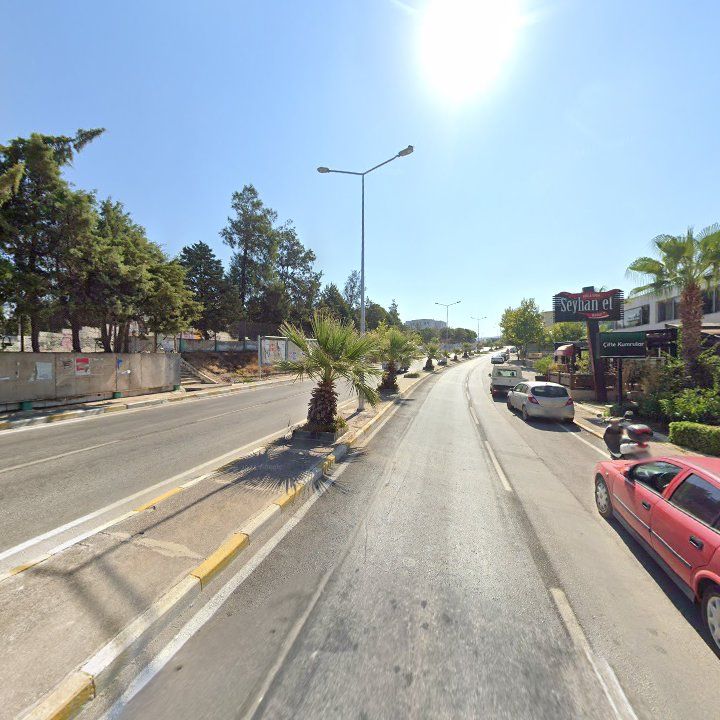 Fotoğraf 10