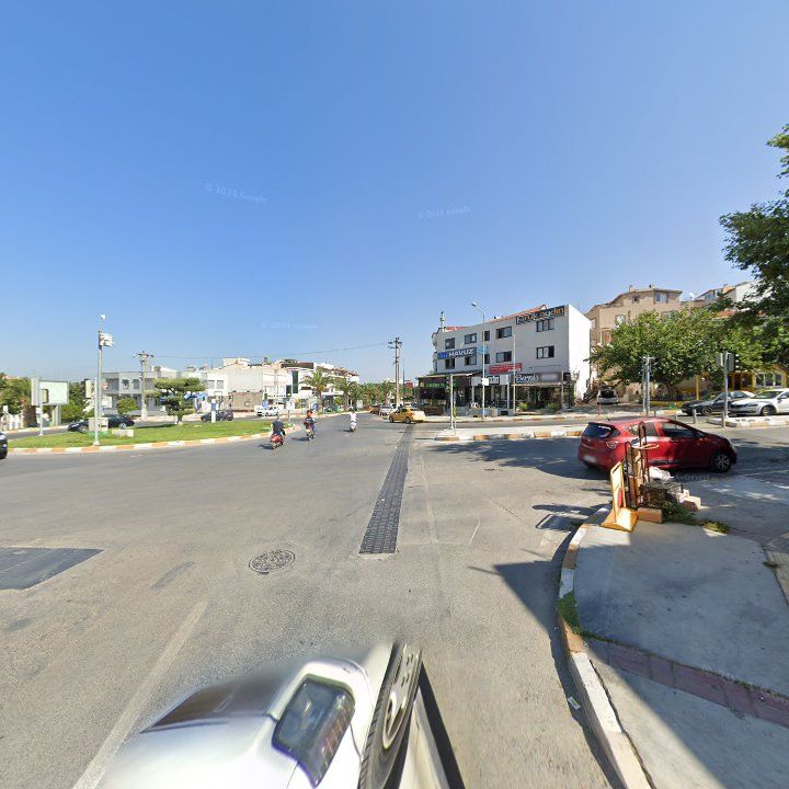 Fotoğraf 10