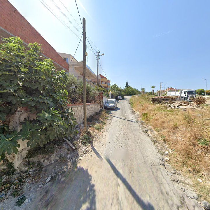Fotoğraf 7