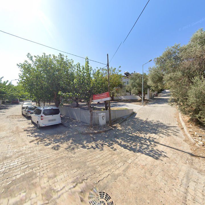 Fotoğraf 11