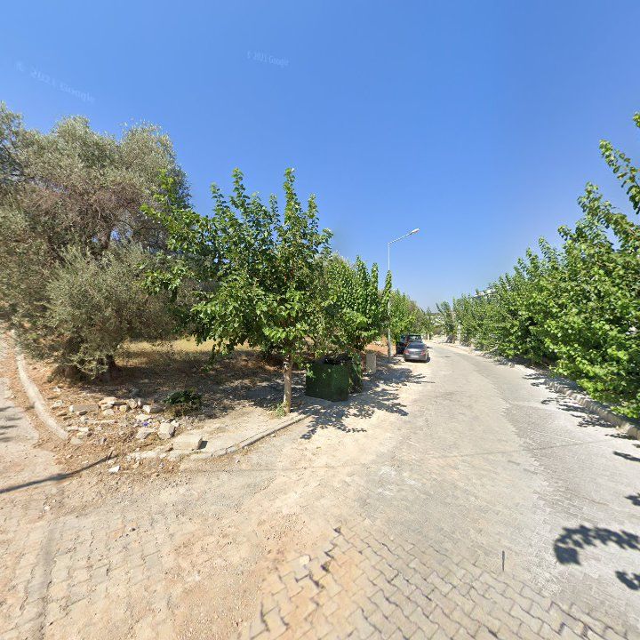 Fotoğraf 12