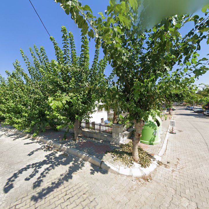Fotoğraf 13