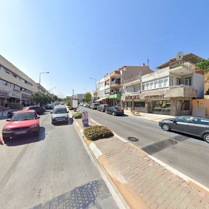 Fotoğraf 7