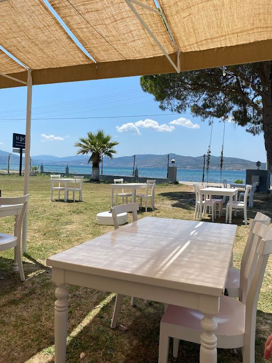 La sandia urla
