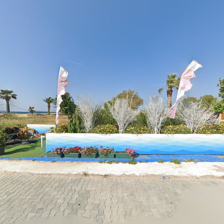 Fotoğraf 11